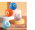 Interactive Smart Dog Toy Ball